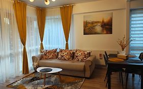 Belleview Family Apartment
